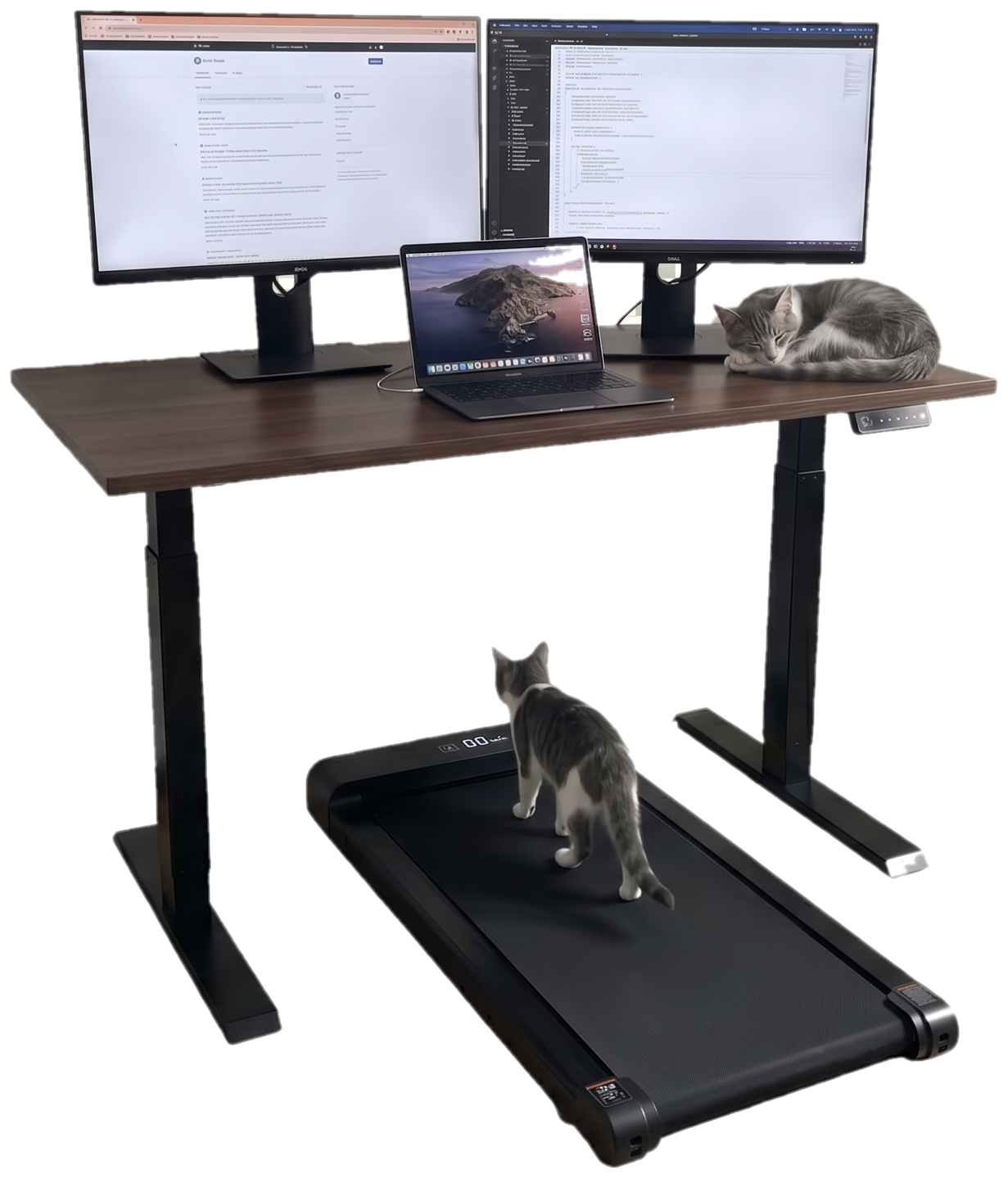 Johnnie&rsquo;s desk: dual monitors, a MacBook, an under-desk treadmill, and two cats